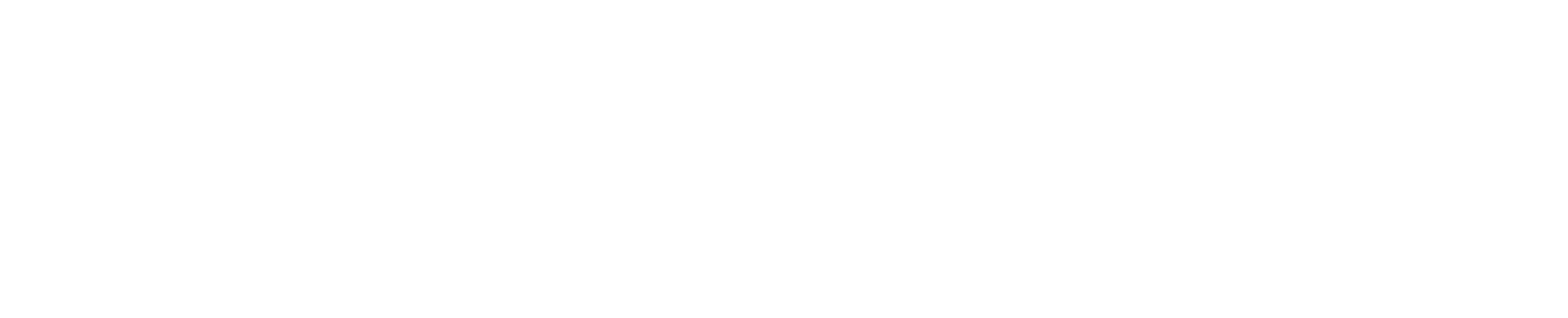 Dentanetmb